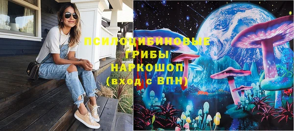 метадон Няндома