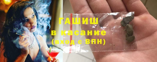 индика Нягань