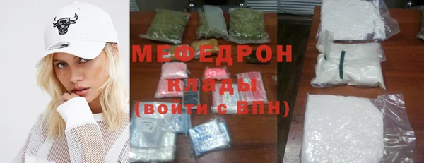 индика Нягань