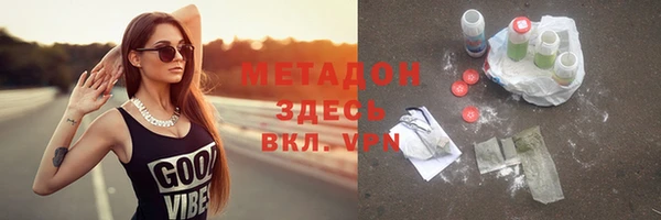 индика Нягань