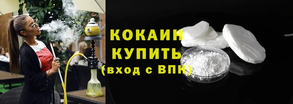 индика Нягань