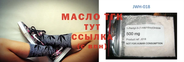 индика Нягань