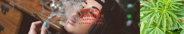индика Нягань