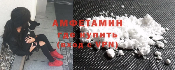 индика Нягань