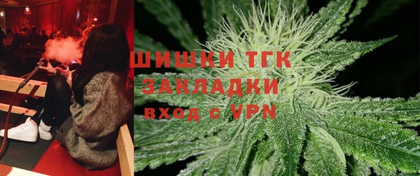 индика Нягань