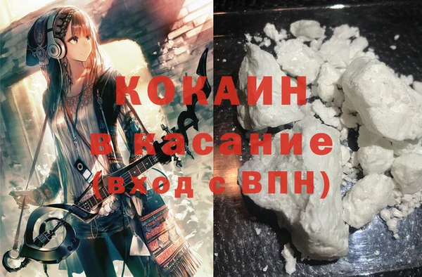 индика Нягань