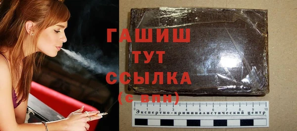 индика Нягань