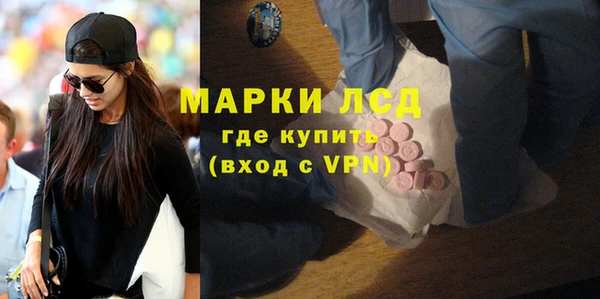 индика Нягань
